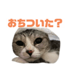 ぺぺさんより…お大事に…（個別スタンプ：14）