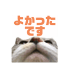 ぺぺさんより…お大事に…（個別スタンプ：15）