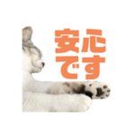 ぺぺさんより…お大事に…（個別スタンプ：16）