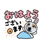 2896Love（個別スタンプ：3）