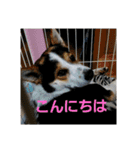 2896Love（個別スタンプ：16）