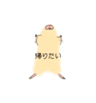 ハムちゃスタンプ（個別スタンプ：7）