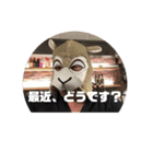 公式 OZのスタンプ ver.2（個別スタンプ：1）