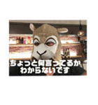 OZのラムチョップスタンプ（個別スタンプ：8）