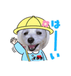 いつも元気なすあまちゃん2（個別スタンプ：7）