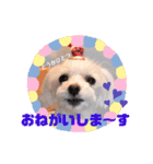 いつも元気なすあまちゃん2（個別スタンプ：8）
