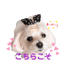 いつも元気なすあまちゃん2（個別スタンプ：13）