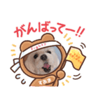 いつも元気なすあまちゃん2（個別スタンプ：14）