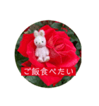 小さな可愛いうさぎの日常（個別スタンプ：1）