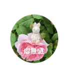 小さな可愛いうさぎの日常（個別スタンプ：2）