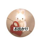 小さな可愛いうさぎの日常（個別スタンプ：5）