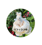 小さな可愛いうさぎの日常（個別スタンプ：8）