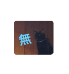 きち 1（個別スタンプ：1）