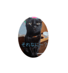 きち 1（個別スタンプ：3）