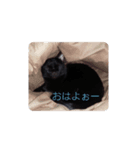 きち 1（個別スタンプ：8）