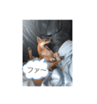 ナナ 1（個別スタンプ：6）