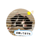 うちの子ねずみ（個別スタンプ：3）
