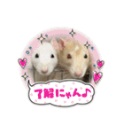 うちの子ねずみ（個別スタンプ：4）