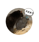 うちの子ねずみ（個別スタンプ：15）