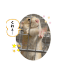 うちの子ねずみ（個別スタンプ：17）