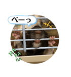 うちの子ねずみ（個別スタンプ：18）