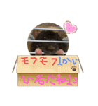うちの子ねずみ（個別スタンプ：32）