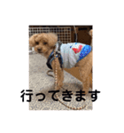 愛犬の、ぼくスタンプ（個別スタンプ：20）