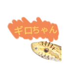 キャロちゃんと仲間達2（個別スタンプ：1）