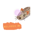 キャロちゃんと仲間達2（個別スタンプ：2）