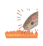 キャロちゃんと仲間達2（個別スタンプ：3）