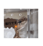 キャロちゃんと仲間達2（個別スタンプ：5）