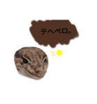 キャロちゃんと仲間達2（個別スタンプ：6）