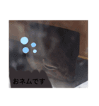 キャロちゃんと仲間達2（個別スタンプ：7）
