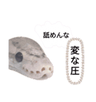 キャロちゃんと仲間達2（個別スタンプ：8）