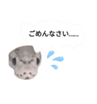 キャロちゃんと仲間達2（個別スタンプ：9）