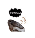 キャロちゃんと仲間達2（個別スタンプ：12）