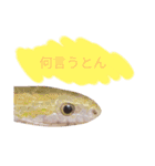 キャロちゃんと仲間達2（個別スタンプ：14）