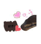 キャロちゃんと仲間達2（個別スタンプ：15）