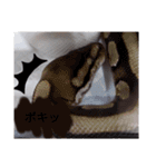 キャロちゃんと仲間達2（個別スタンプ：16）