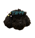 プーライフ40（個別スタンプ：1）