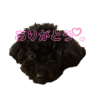 プーライフ40（個別スタンプ：6）