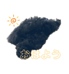 プーライフ40（個別スタンプ：11）