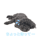 プーライフ40（個別スタンプ：21）