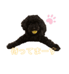 プーライフ40（個別スタンプ：25）