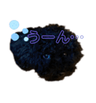 プーライフ40（個別スタンプ：30）