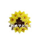 うちの さぼてんの       ボンちゃん25歳！（個別スタンプ：6）