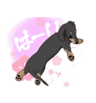 マロミン時々りりぃの日常（個別スタンプ：19）