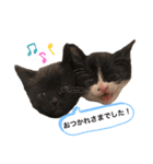 ぱちくろ（個別スタンプ：6）