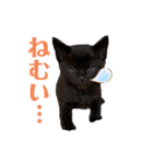 ぱちくろ（個別スタンプ：14）
