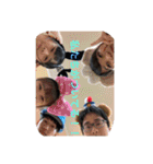 チャレ飯ふぁいぶスタンプ1（個別スタンプ：22）